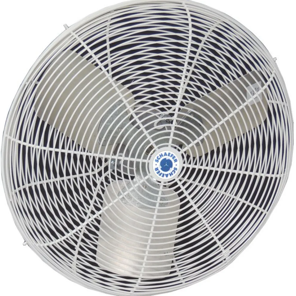 Schaefer 20 in. OSHA Compliant 2-Speed Fixed Circulation Fan
