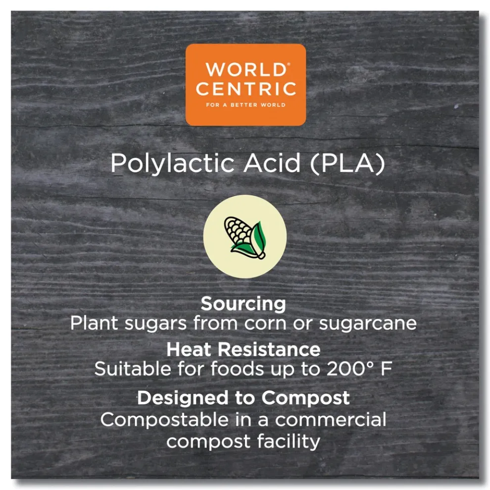 World Centric 6.1 in. x 7.6 in. x 2.8 in. 32 oz. PLA Rectangular Plastic Deli Containers - Clear (600/Carton)