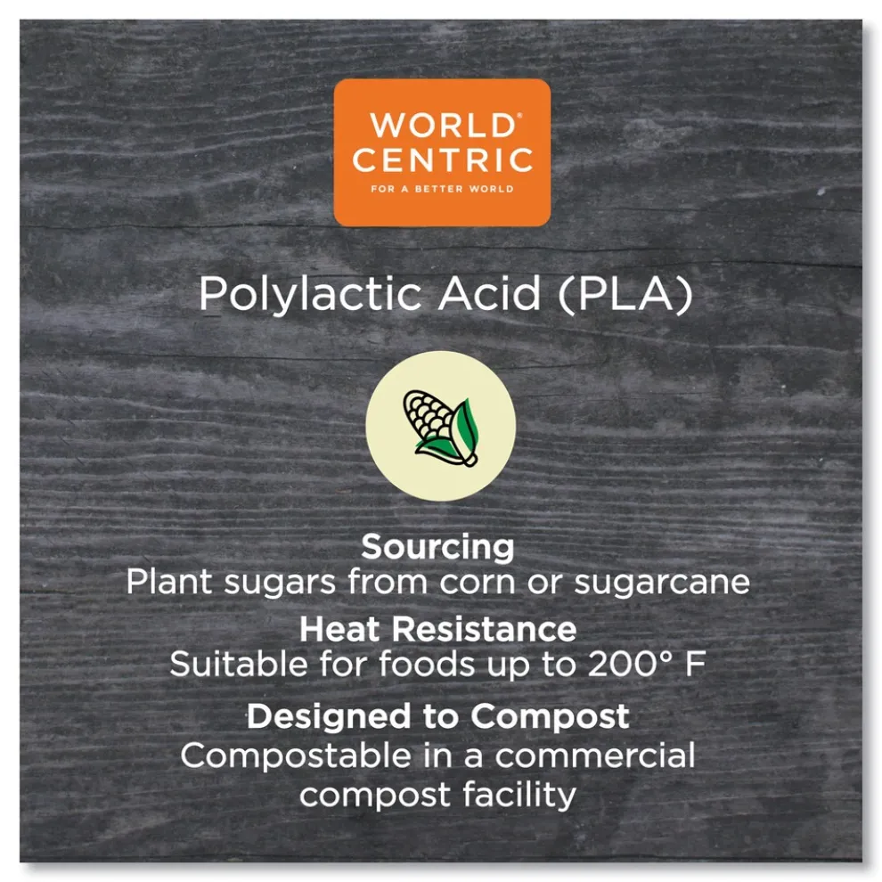 World Centric 10 oz. - 20 oz. PLA Lids for Hot Cups - White (1000/Carton)