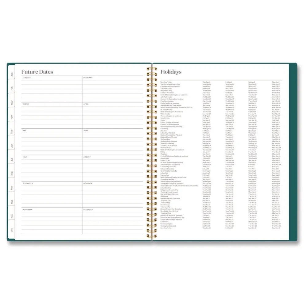 AT-A-GLANCE 11 in. x 8.5 in. 12-Month (Jan-Dec 2026) WorkStyle Poly Monthly Planner - Teal Cover