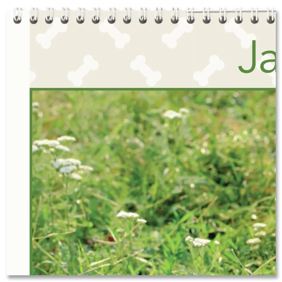 AT-A-GLANCE 12-Month (Jan to Dec): 2026 15.5 in. x 22.75 in. Puppies Photography Puppies Monthly Wall Calendar - White/Multicolor Sheets