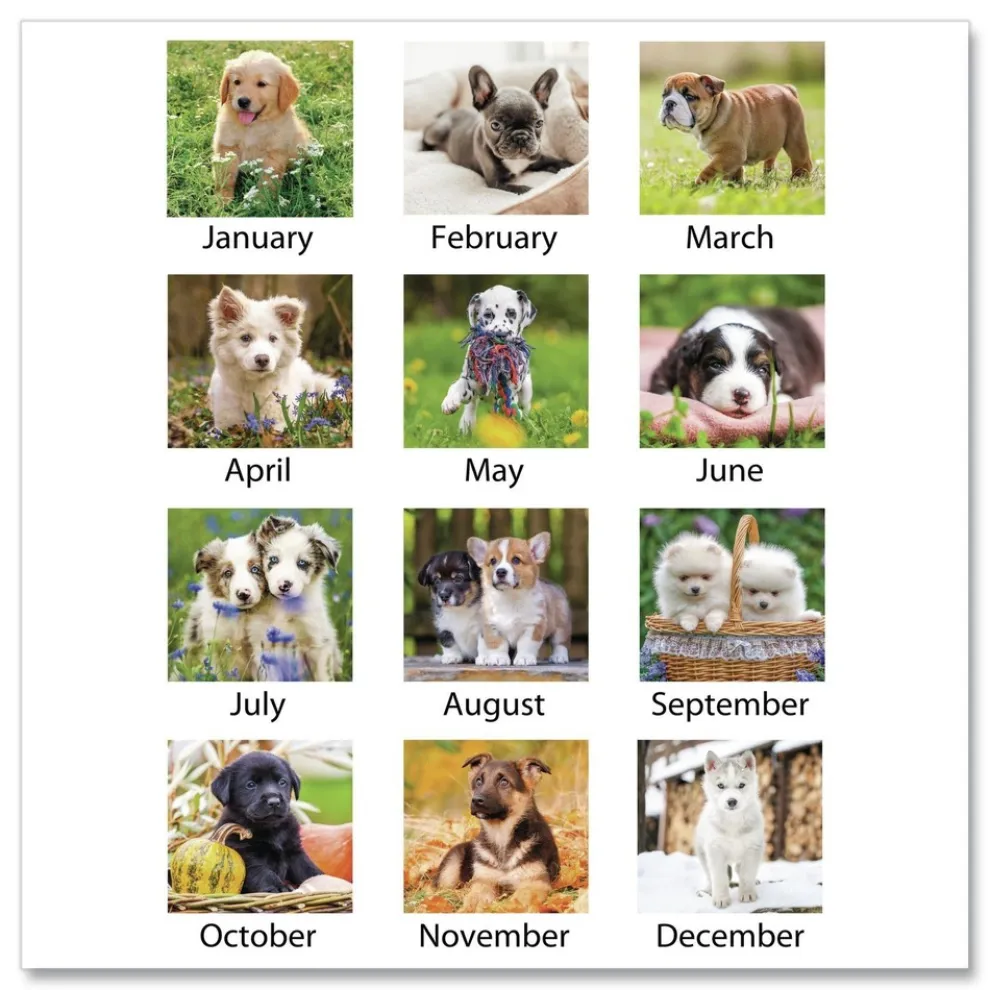 AT-A-GLANCE 12-Month (Jan to Dec): 2026 15.5 in. x 22.75 in. Puppies Photography Puppies Monthly Wall Calendar - White/Multicolor Sheets