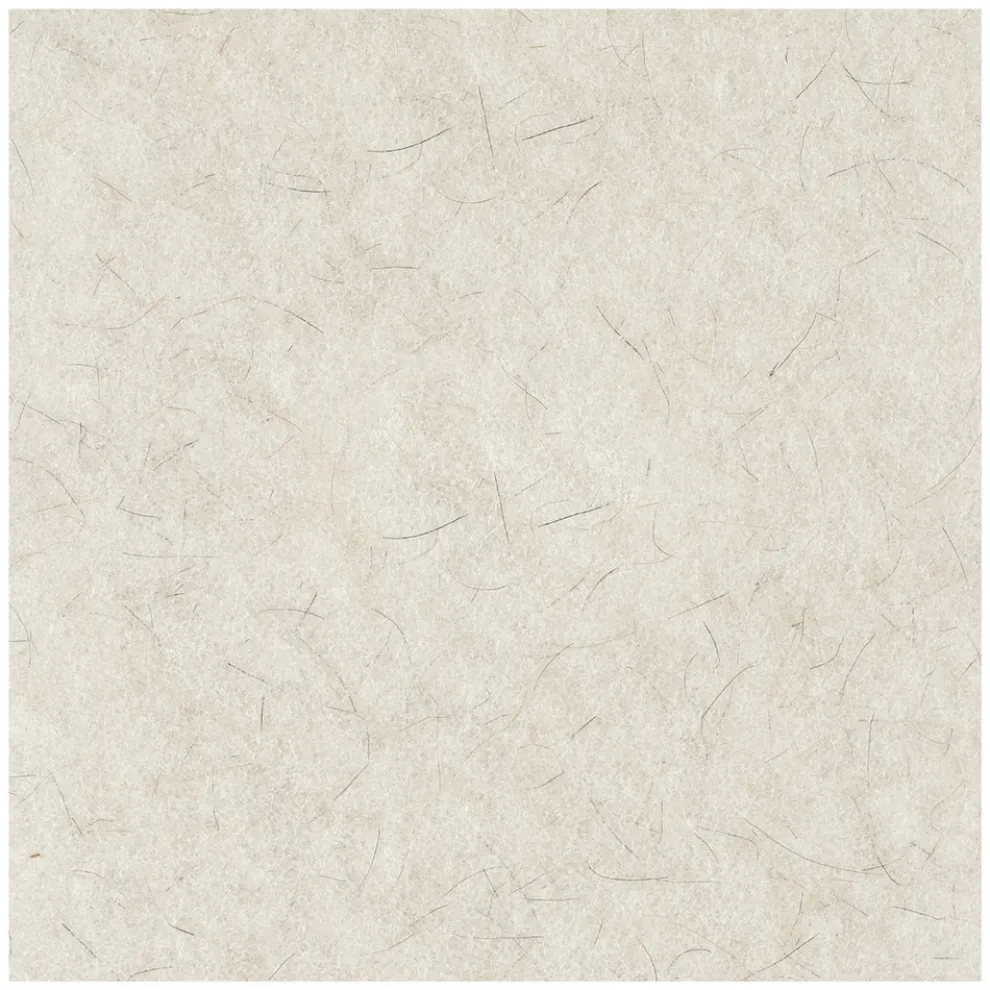 Boardwalk 17 in. Diameter Natural Burnishing Floor Pads - White (5/Carton)