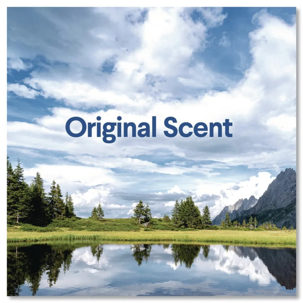 Clorox 32 oz. Clean-Up Multi-Surface Cleaner with Bleach - Original (9/Carton)