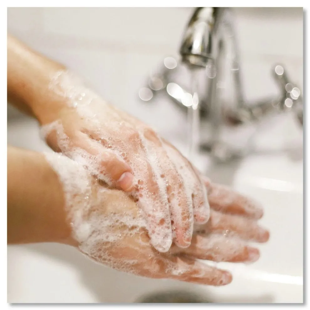 Dial Professional 16 oz. Antibacterial Liquid Hand Soap - Gold (12/Carton)