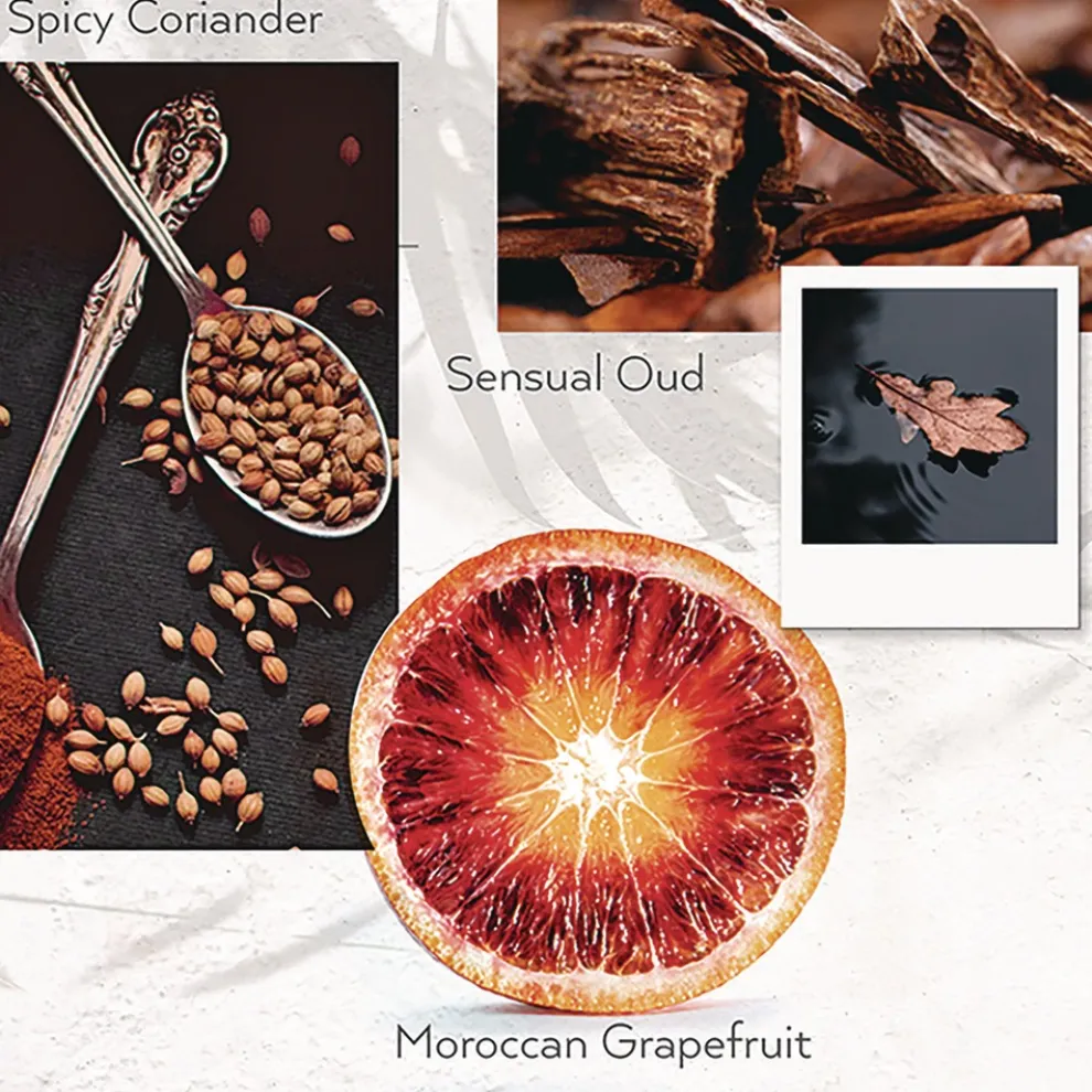 Guild+Pepper 12.2 oz Bottle Lotion - Warm Oak (12/Carton)