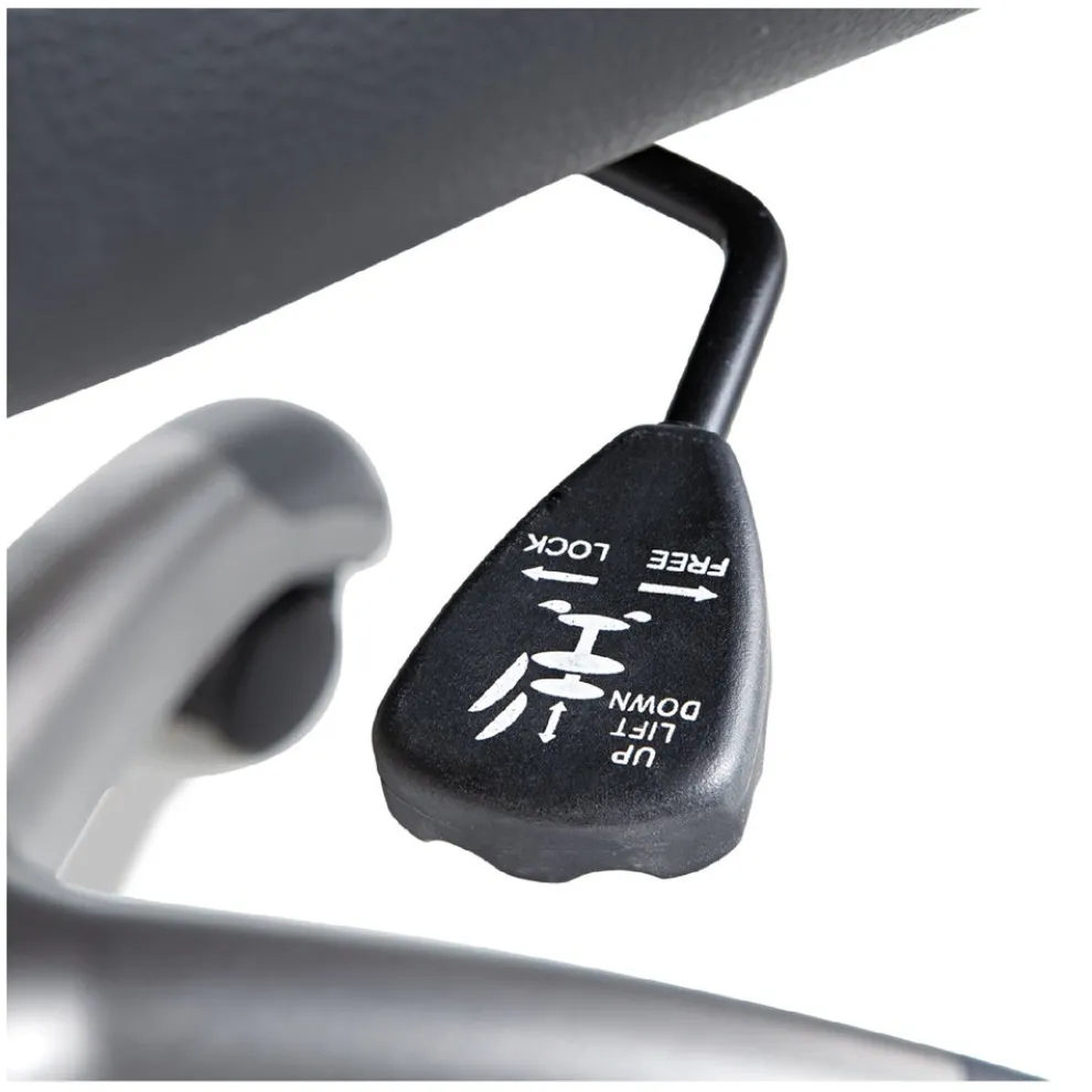 OIF Executive Swivel/Tilt Leather High-Back Chair (Fixed Arched Arms/Black)