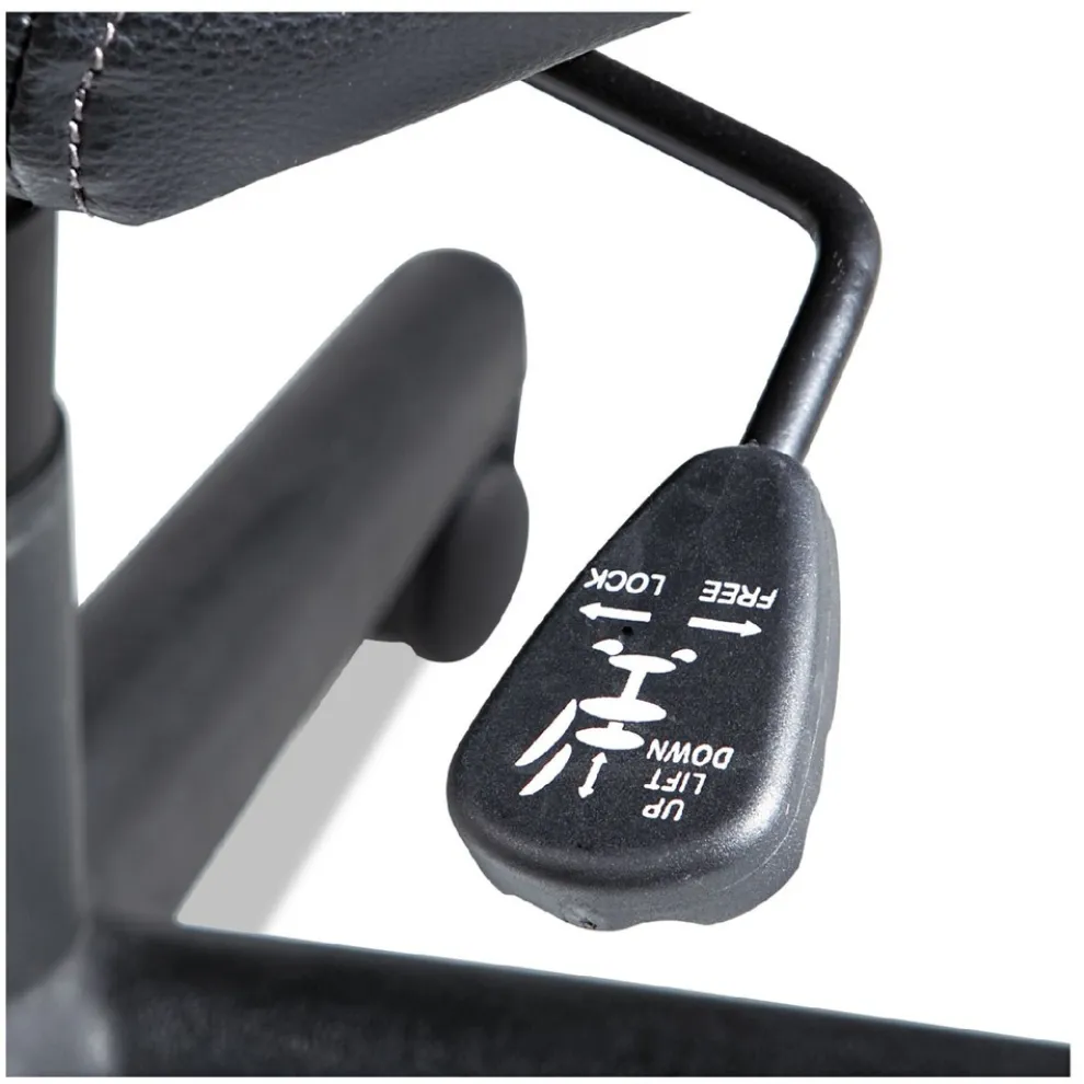 OIF Executive Swivel/Tilt Chair (Fixed T-Bar Arms/ Black)