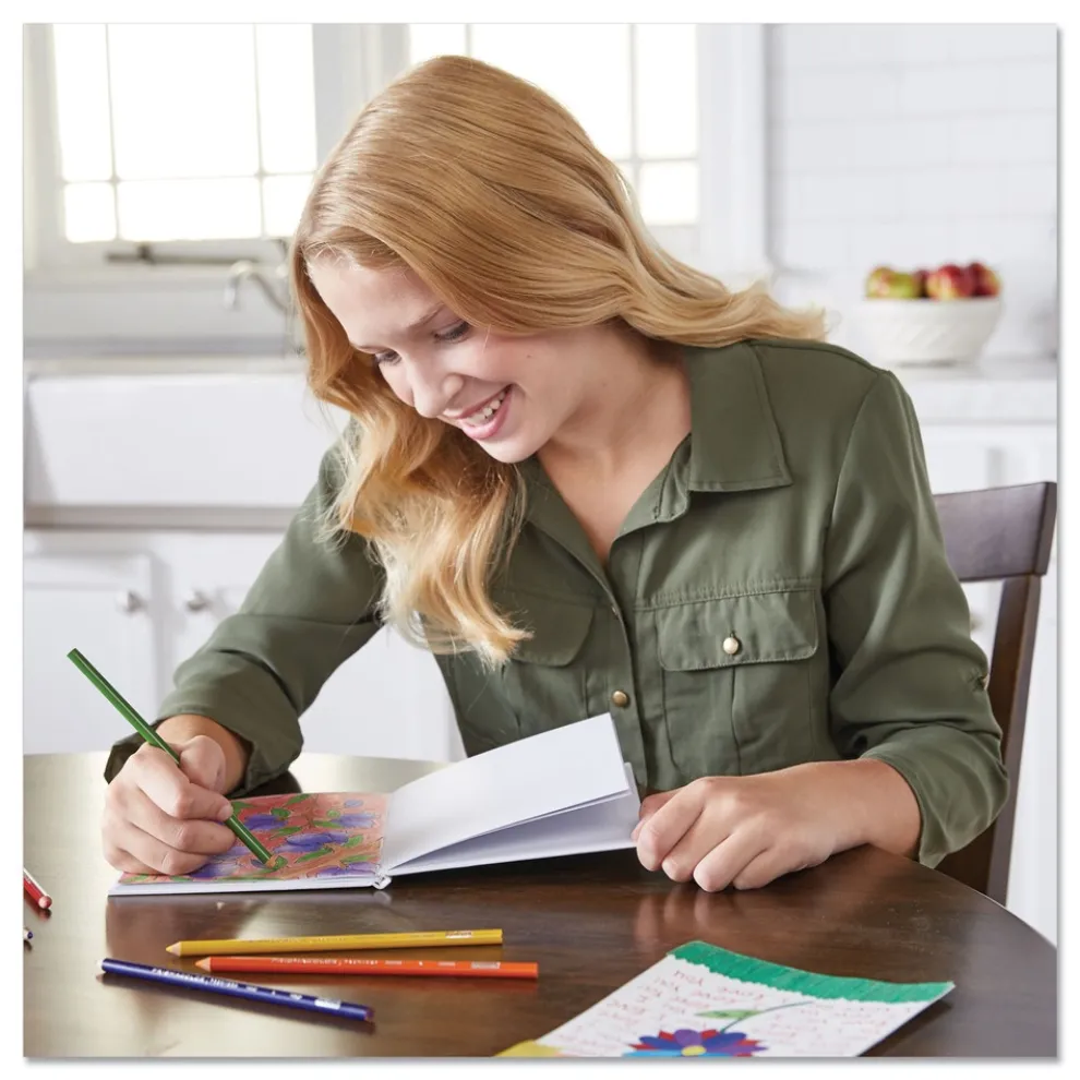 Prismacolor Scholar 3 mm 2B Colored Pencil Set - Assorted Lead and Barrel Colors (24/Set)