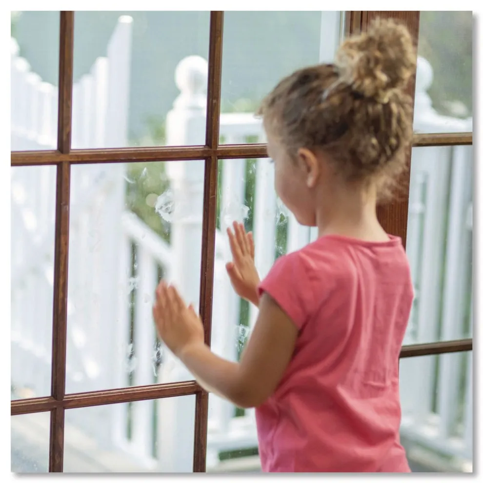 Rust-Oleum Professional Cleaners Glass Cleaner 1 gal Jug (4/Carton)