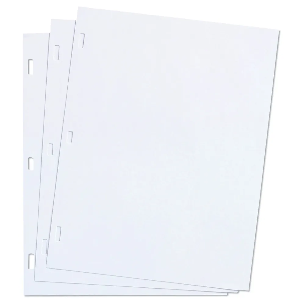 Wilson Jones 11 x 8.5 Loose Ledger Sheets for Corporation and Minute Book - White (100/Box)